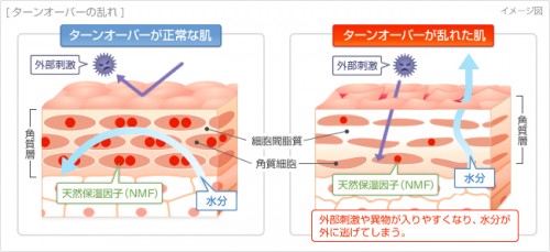出典:http://www.daiichisankyo-hc.co.jp/health/symptom/45_kansouhada/imgs/index/img03.jpg