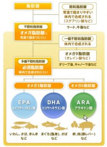 出典:http://healthy0129.com/wp-content/uploads/2013/08/WS000043.jpg
