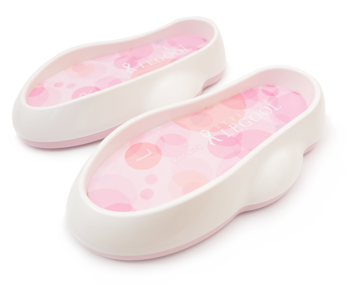LE1509WP-01-PRICE 骨盤&O脚矯正器具LEGOOL(レグール)
