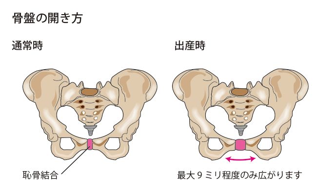 出産時の骨盤の開き方